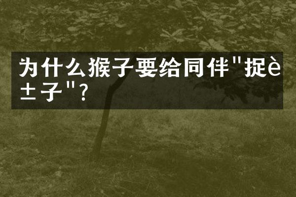 为什么猴子要给同伴"捉虱子"?