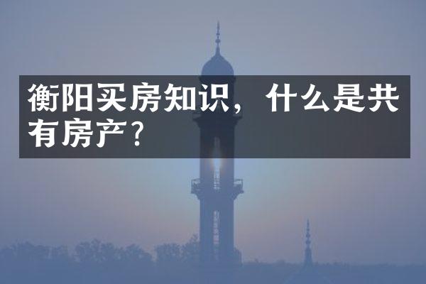 衡阳买房知识，什么是共有房产？