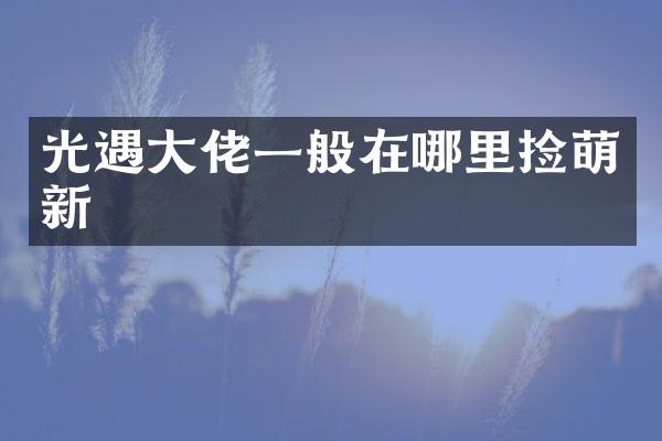光遇大佬一般在哪里捡萌新