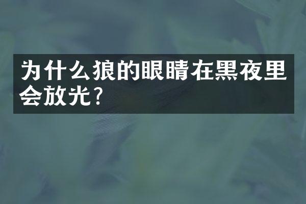 为什么狼的眼睛在黑夜里会放光？