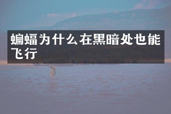 蝙蝠为什么在黑暗处也能飞行