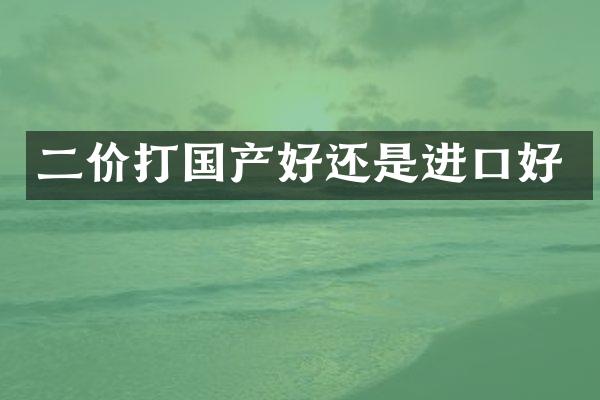 二价打国产好还是进口好