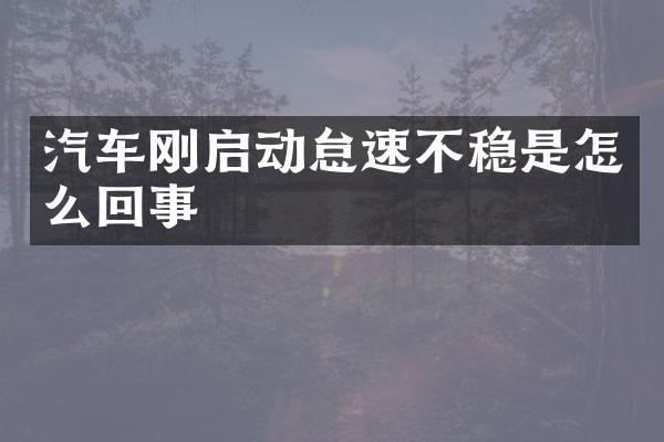 汽车刚启动怠速不稳是怎么回事