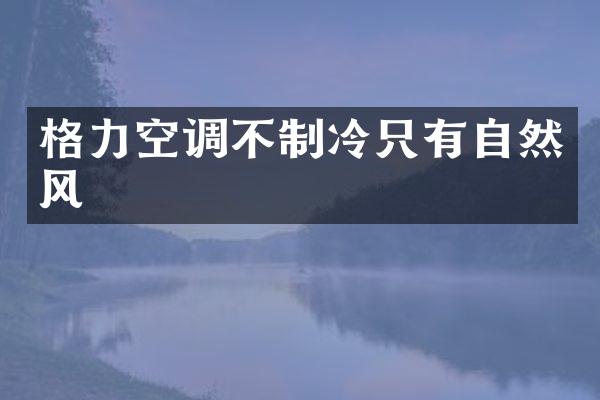 格力空调不制冷只有自然风