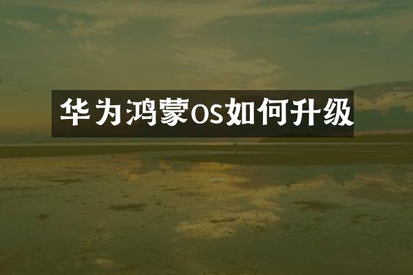 华为鸿蒙os如何升级