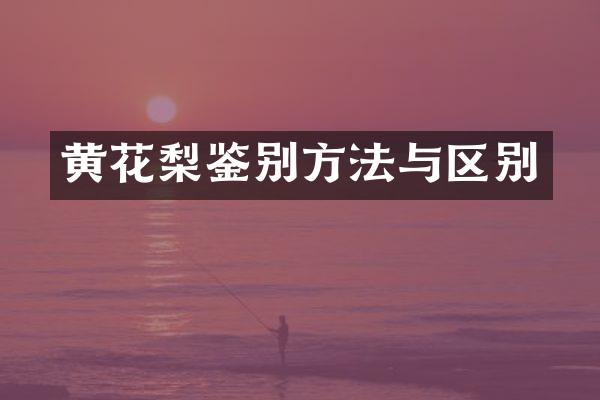黄花梨鉴别方法与区别