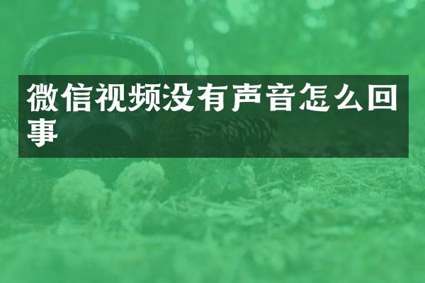 微信视频没有声音怎么回事