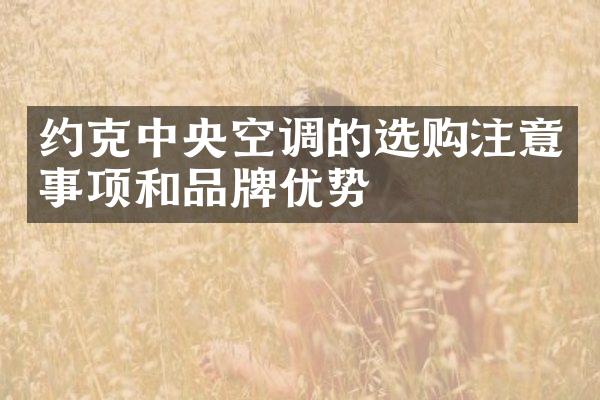 约克中央空调的选购注意事项和品牌优势