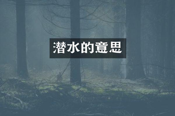 潜水的意思