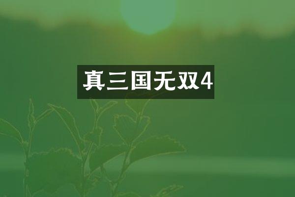 真三国无双4