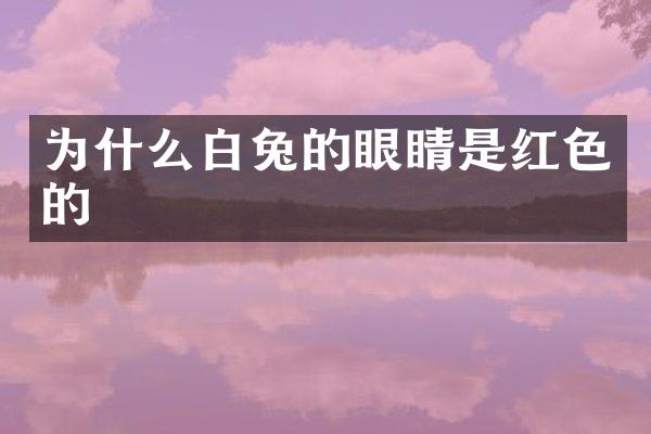 为什么白兔的眼睛是红色的
