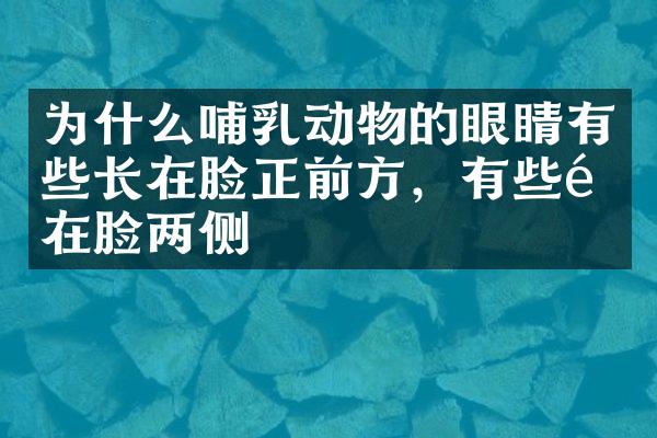为什么哺乳动物的眼睛有些长在脸正前方，有些长在脸两侧