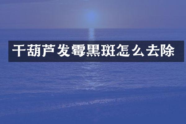干葫芦发霉黑斑怎么去除