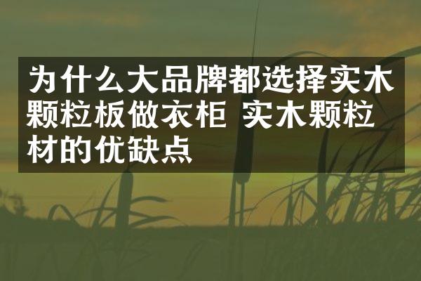 为什么大品牌都选择实木颗粒板做衣柜 实木颗粒板材的优缺点