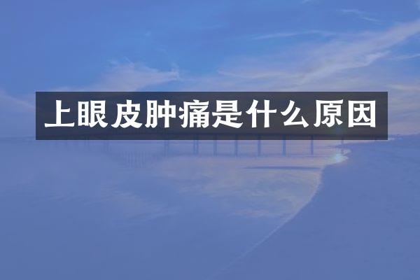 上眼皮肿痛是什么原因