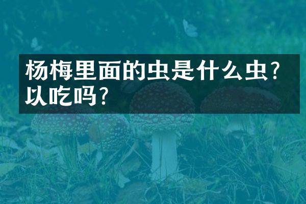 杨梅里面的虫是什么虫?可以吃吗?