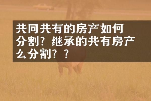 ﻿﻿共同共有的房产如何分割？继承的共有房产怎么分割？？
