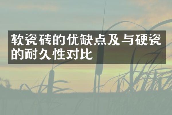 软瓷砖的优缺点及与硬瓷的耐久性对比
