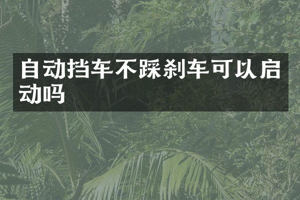 自动挡车不踩刹车可以启动吗