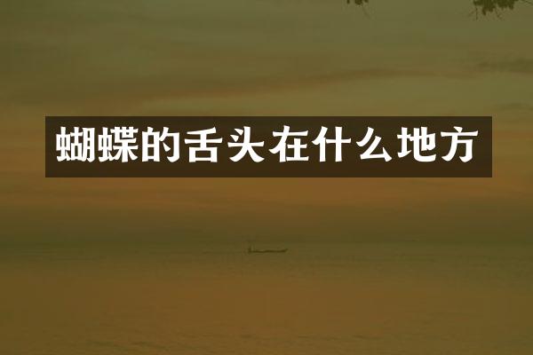蝴蝶的舌头在什么地方