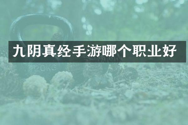 九阴真经手游哪个职业好