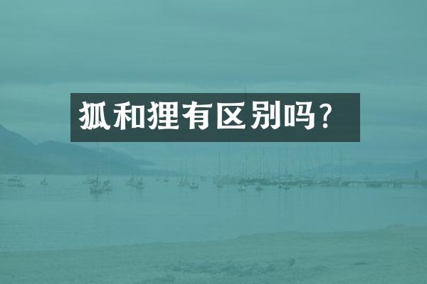 狐和狸有区别吗？