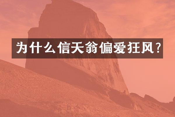为什么信天翁偏爱狂风?