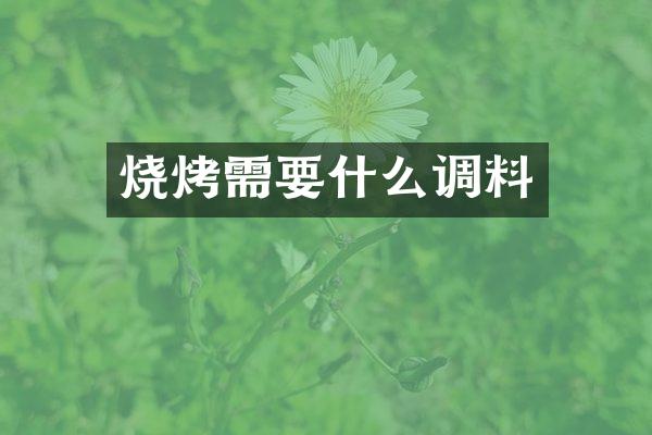 烧烤需要什么调料