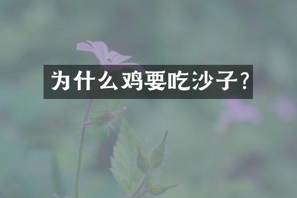 为什么鸡要吃沙子?