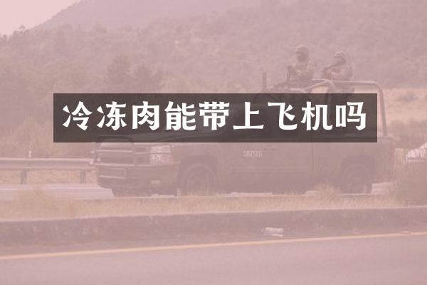 冷冻肉能带上飞机吗
