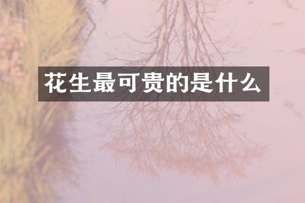 花生最可贵的是什么