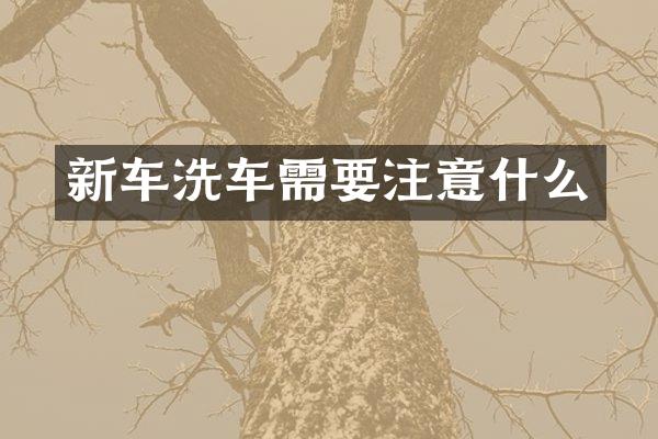 新车洗车需要注意什么