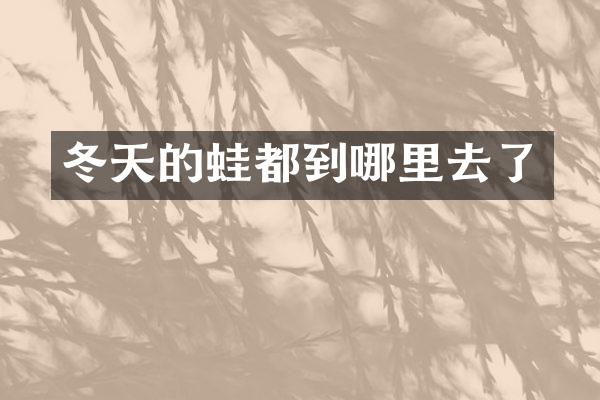 冬天的蛙都到哪里去了