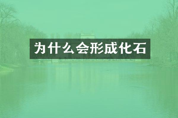 为什么会形成化石