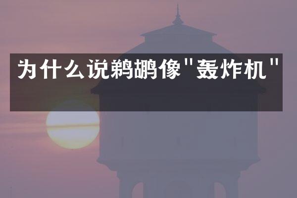 为什么说鹈鹕像"轰炸机"？