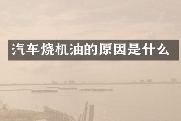 汽车烧机油的原因是什么