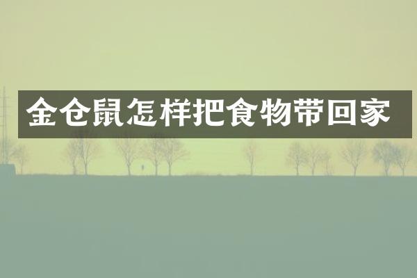 金仓鼠怎样把食物带回家