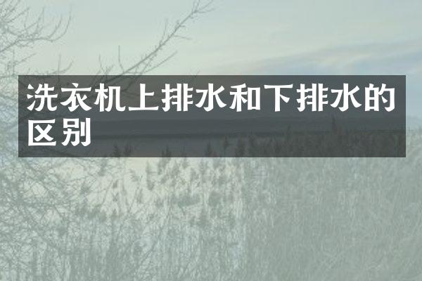 洗衣机上排水和下排水的区别