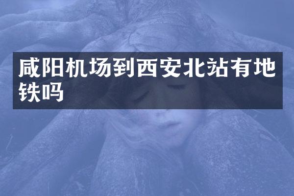 咸阳机场到西安北站有地铁吗