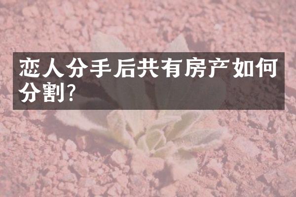 恋人分手后共有房产如何分割？