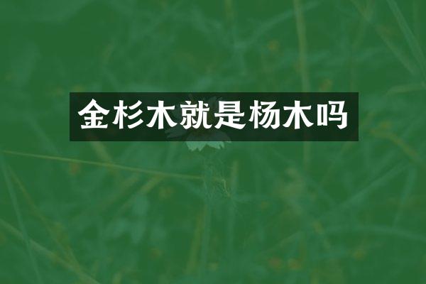 金杉木就是杨木吗