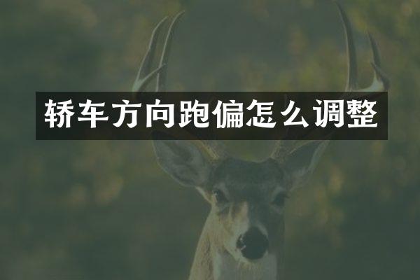轿车方向跑偏怎么调整
