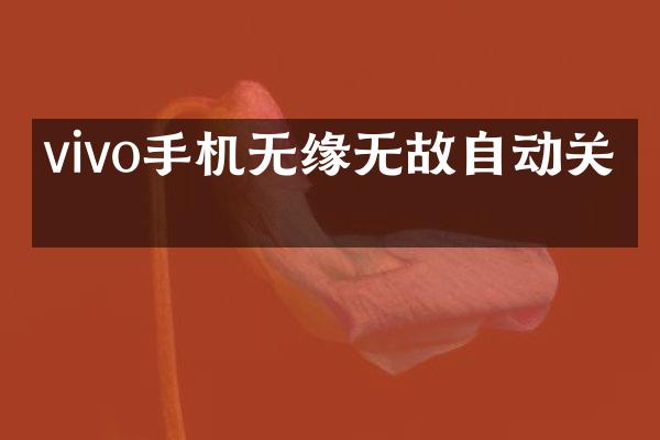 vivo手机无缘无故自动关机