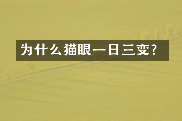 为什么猫眼一日三变？