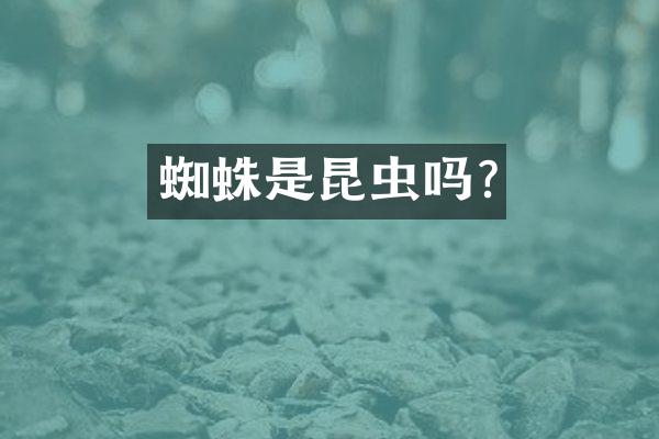 蜘蛛是昆虫吗?