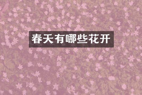 春天有哪些花开