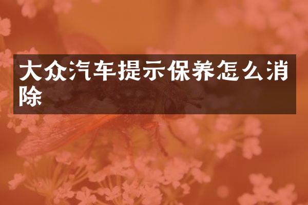 大众汽车提示保养怎么消除
