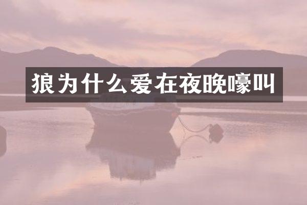狼为什么爱在夜晚嚎叫