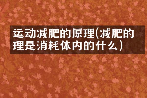 运动减肥的原理(减肥的原理是消耗体内的什么)