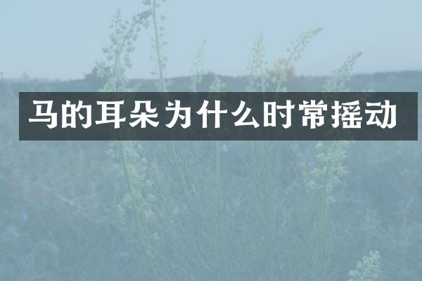 马的耳朵为什么时常摇动